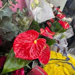 Seller Image